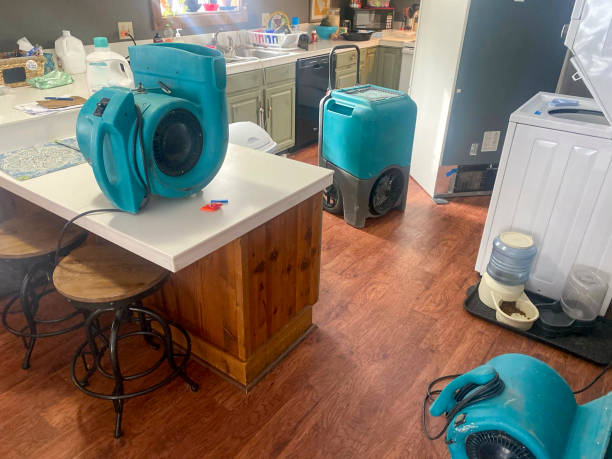 Best Flood damage cleanup  in Johns Creek, GA