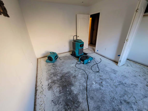 Best Local water damage restoration  in Johns Creek, GA