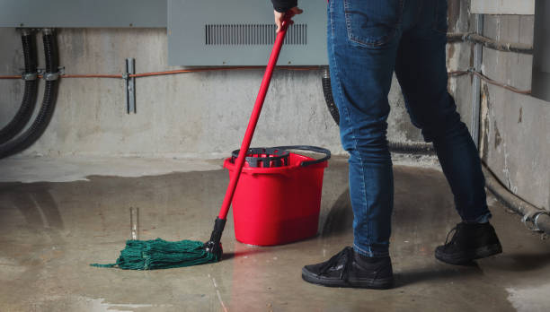Best Water damage cleanup near me  in Johns Creek, GA