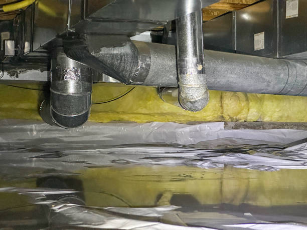 Best Carpet water damage restoration  in Johns Creek, GA