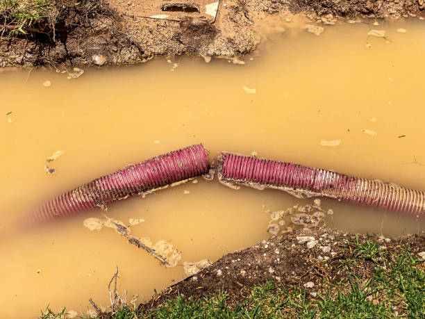 Best Water damage restoration near me  in Johns Creek, GA